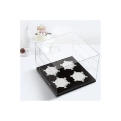 Cake Craft Company Black Deluxe Crystal Transparent Cupcake Boxes - Holds 4 -Silikomart Store cake craft company black deluxe crystal transparent cupcake boxes holds 4 p18613 66423 image