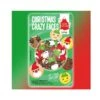 Cake Decor Christmas Crazy Faces - 22g