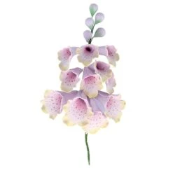 Culpitt Foxglove Sugar Spray - Lilac