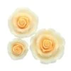 Culpitt Ombre Peach Sugar Soft Roses - Mixed Pack Of 38mm, 50mm, 63mm - Boxed 12