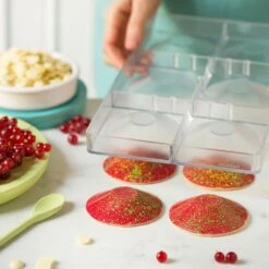 Decora Round Dish Polycarbonate Chocolate Mould - 6 Cavities -Silikomart Store decora round dish polycarbonate chocolate mould 6 cavities p15873 55297 image