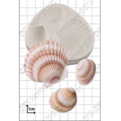 FPC Moulds Large Shells' Silicone Mould