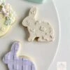 Oh My Cookie Rabbits And Flowers Background Cookie Stamp