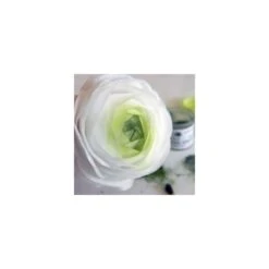 Saracino Pack Of 50 - Premium Edible Wafer Paper (Thickness: 0.6mm) -Silikomart Store saracino pack of 50 premium edible wafer paper thickness 0 6mm p3918 17850 image