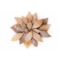 Silikomart Voila Cookie Leaves High Quality Silicone Mould -Silikomart Store silikomart voila cookie leaves high quality silicone mould p16365 56911 image