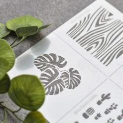 Silvia Favero Cookie Stencil - Nature - Set Of 7 7 Silvia Favero Cookie Stencil - Nature - Set Of 7 -Silikomart Store silvia favero cookie stencil nature set of 7 p14097 49163 image