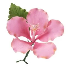 Wilton Gumpaste Flower Cut-Outs Set 6 Wilton Gumpaste Flower Cut-Outs Set -Silikomart Store wilton gumpaste flower cut outs set p6434 27349 image