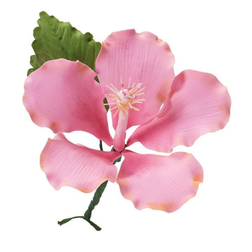 Wilton Gumpaste Flower Cut-Outs Set 3 Wilton Gumpaste Flower Cut-Outs Set - Image 3