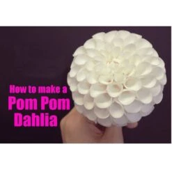 Zee Chik Designs Pom Pom Dahlia Cutter 9x6 Cm + Former Set -Silikomart Store zee chik designs pom pom dahlia cutter 9x6 cm former set p8388 33156 image